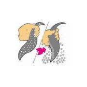 Foulard a pois che si trasforma