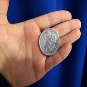 Dollaro d\'argento Morgan