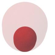 Pallina di spugna che ingrandisce
