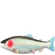 Pesce di gomma