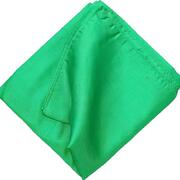 Fazzoletto del diavolo Verde 67cm x 67cm