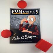 Cubo di Spugna