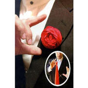Rose to silk