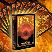 Bicycle Natural Disasters Wildfire