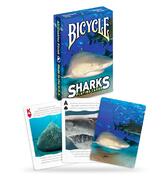 Bicycle Sharks
