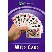 Wild Card + DVD